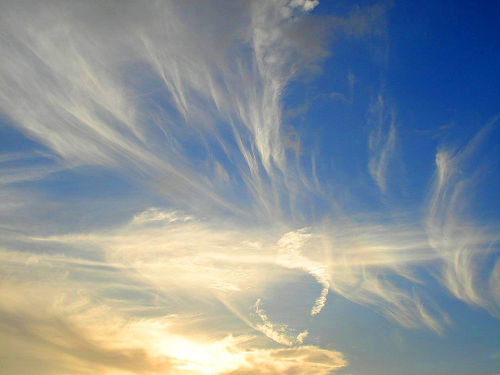 http://lakokolela.typepad.fr/photos/pixelgirl/anges-dans-le-ciel.jpg