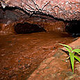 Dans un tunnel de la coulée 2004