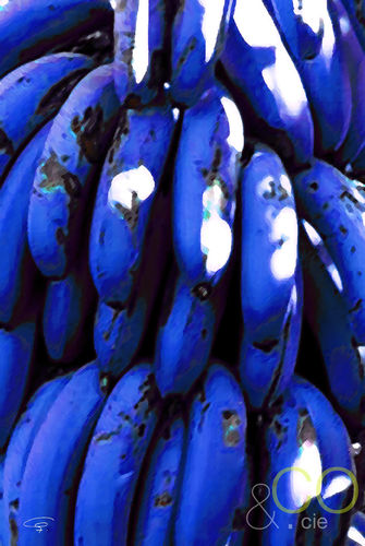 Bananes bleues